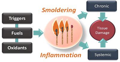 Editorial: Smoldering Inflammation in Cardio-Immune-Metabolic Disorders